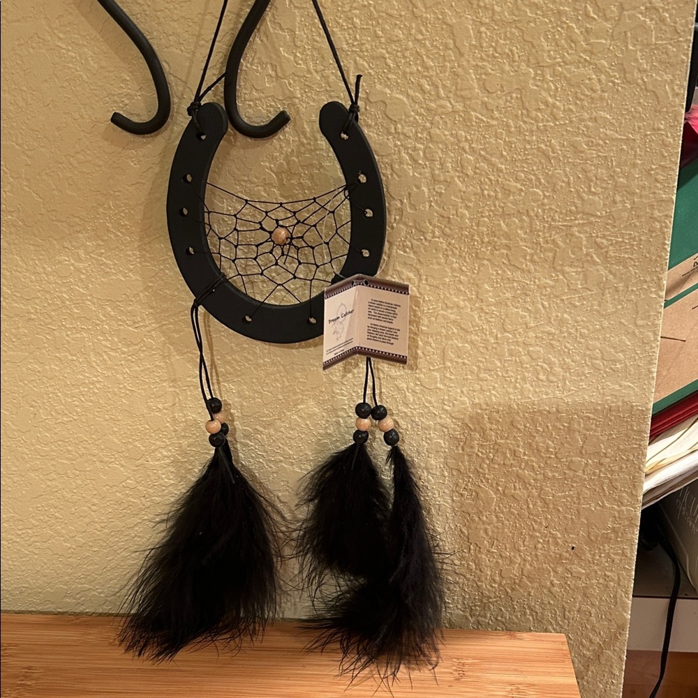 Black Horseshoe Dreamcatcher with Feathers